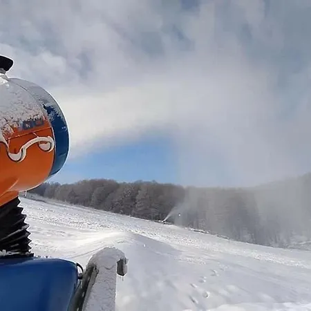 Luxury Lavander ポリアナ