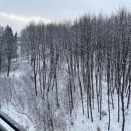 Apartamento Luxury Lavander Polyana (Transcarpathia)