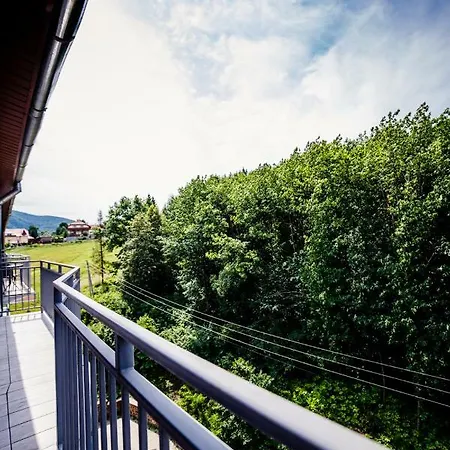 Apartment Luxury Lavander Polyana (Transcarpathia)