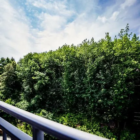 Luxury Lavander Polyana (Transcarpathia)