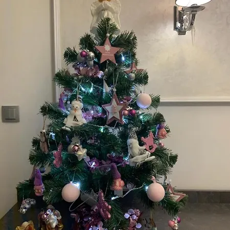 Luxury Lavander * Polyana (Transcarpathia)