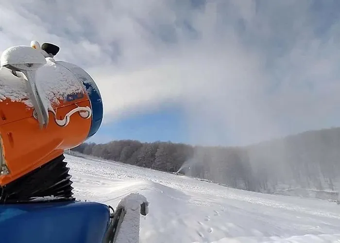 Luxury Lavander 波利亚纳